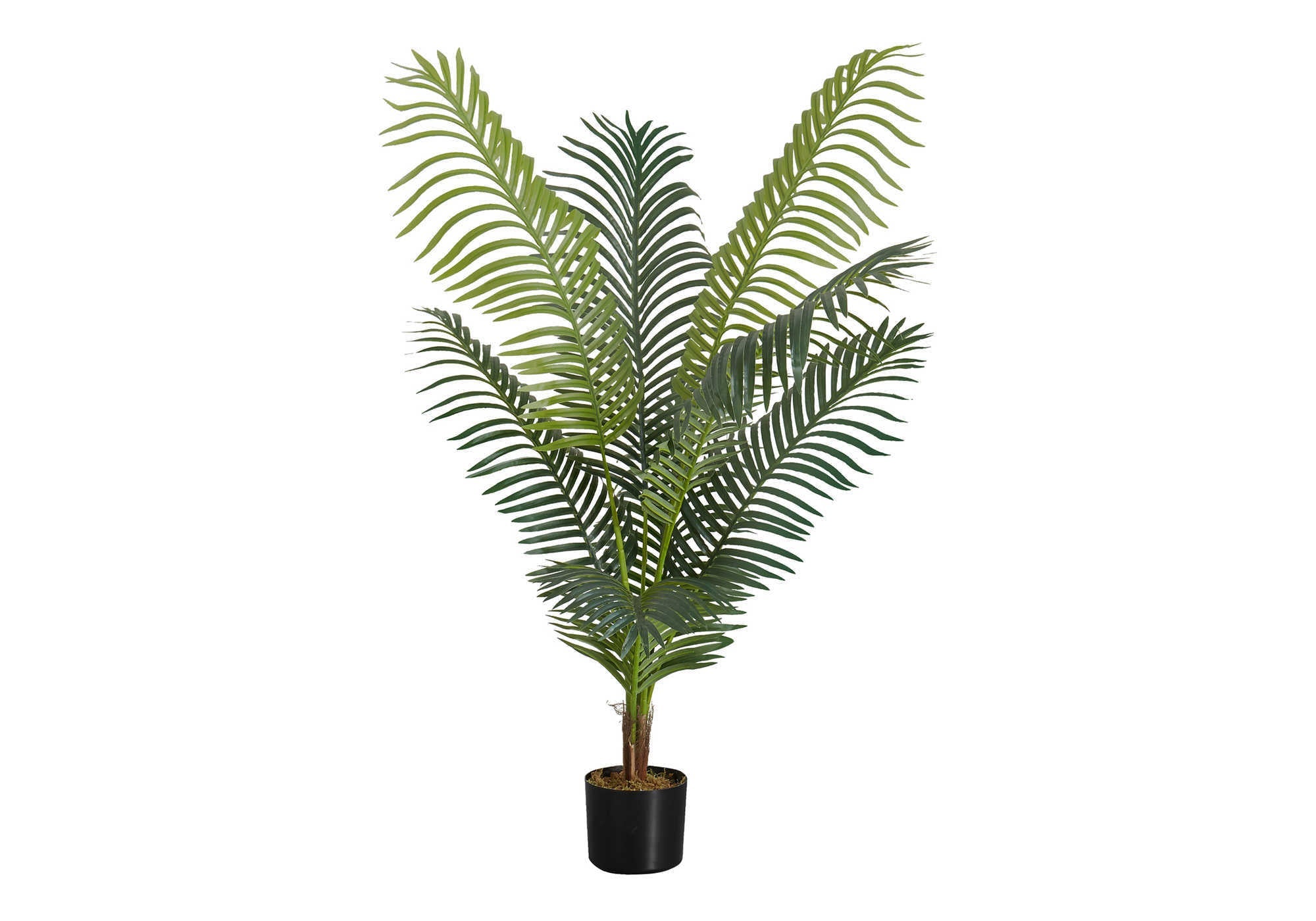 47