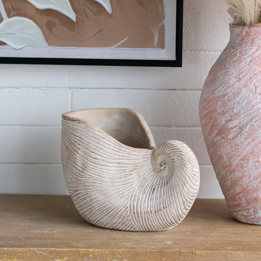 Nautilus Shell Decorative Planter