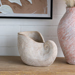 Nautilus Shell Decorative Planter