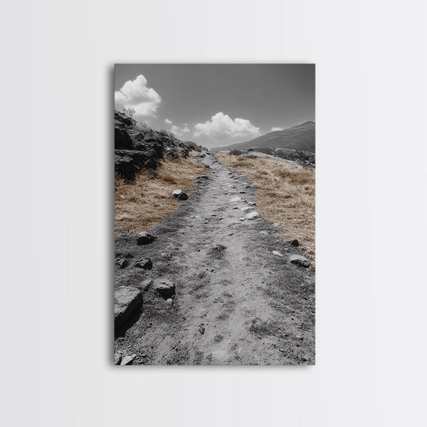 Desert Path, Solitude Trail, Nature Adventure