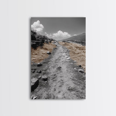 Desert Path, Solitude Trail, Nature Adventure