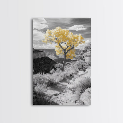 Autumn Canyon Trail, Yellow Tree