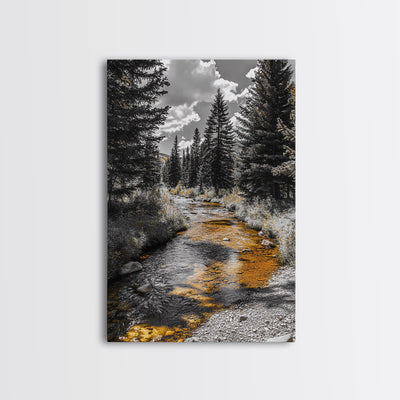Forest Stream, Autumn Glow, Mountain Trees