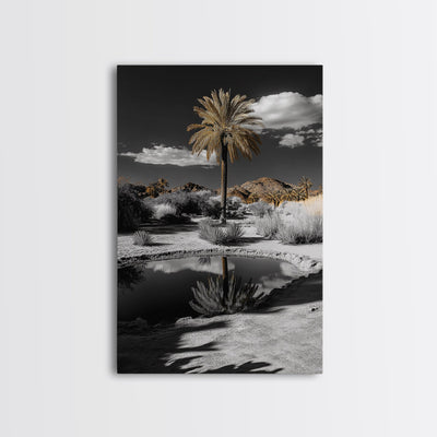 Palm Tree, Desert Oasis, Reflection Pond