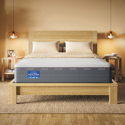 Avenue II Plush