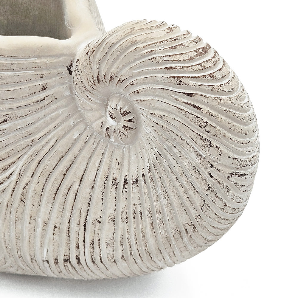 Nautilus Shell Decorative Planter