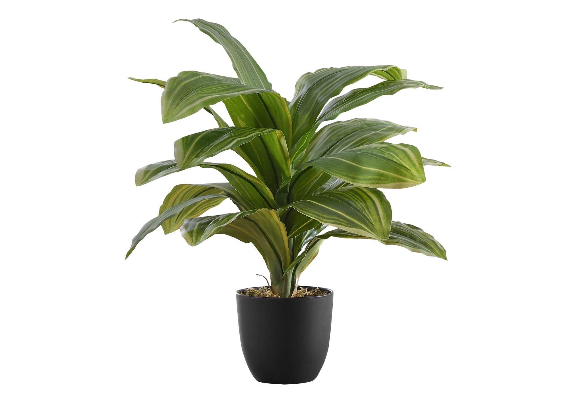 Artificial Dracaena Plant - 17
