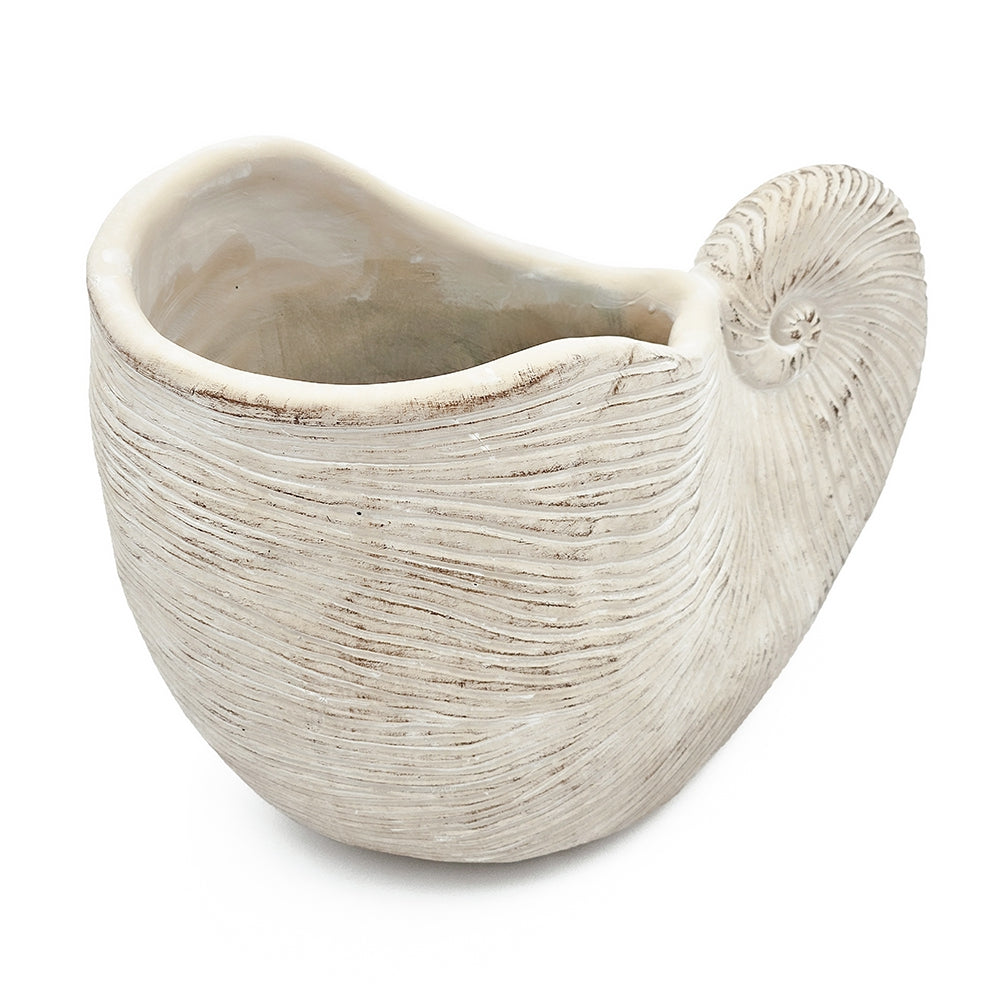 Nautilus Shell Decorative Planter