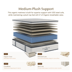 The Ultimate Recovery Mattress by Gary Brecka | Medium Feel