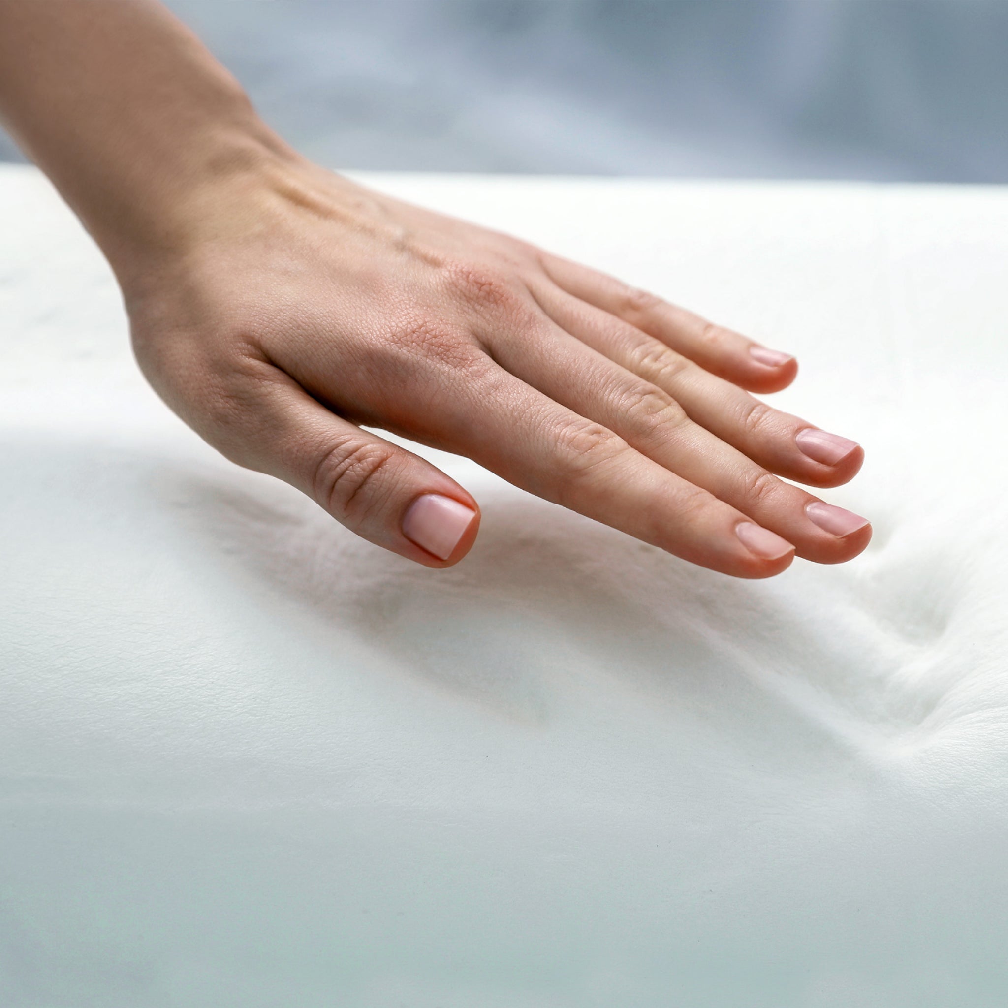 Cosmos Low Profile Pillow