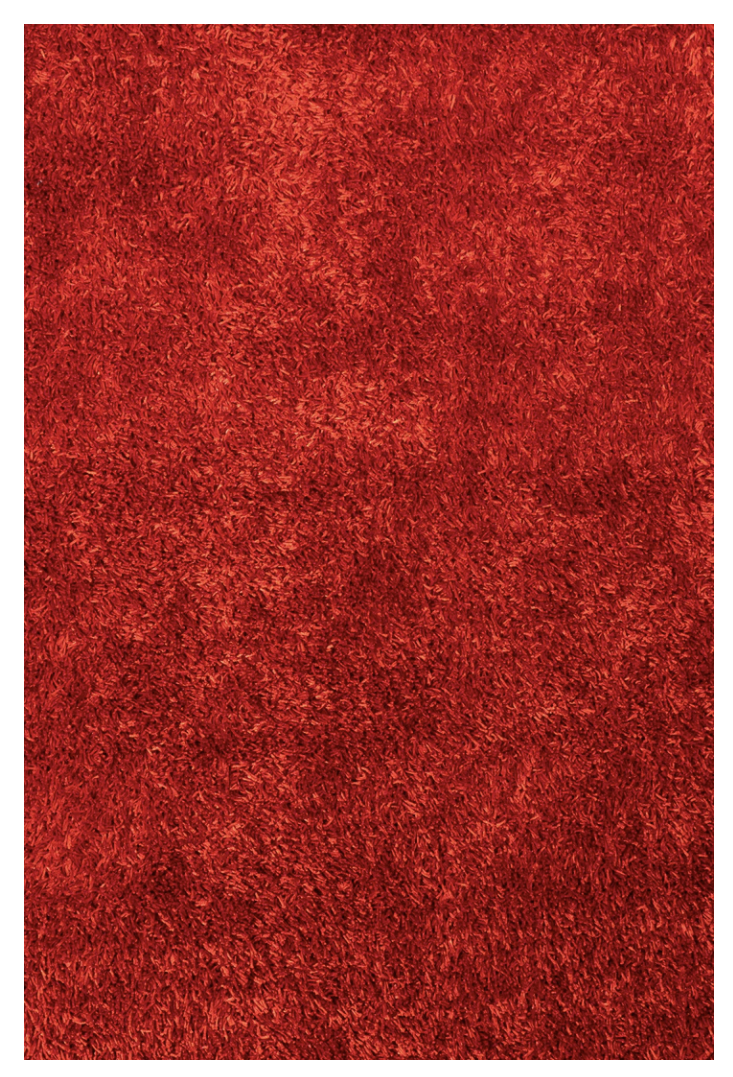 Spaghetti Shag Area Rug 5x7