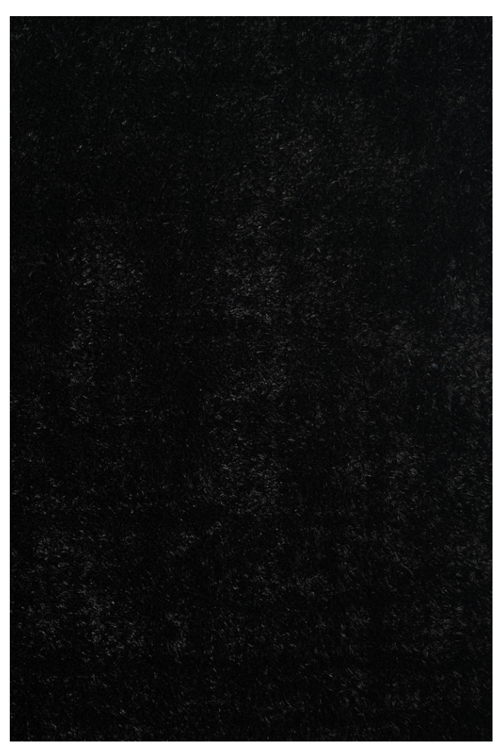 Spaghetti Shag Area Rug 5x7