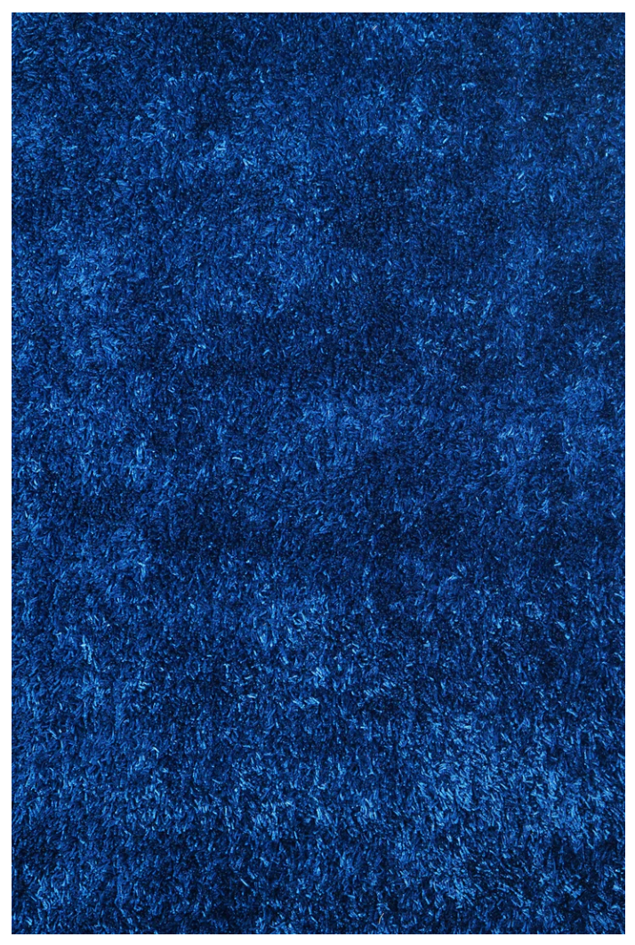 Spaghetti Shag Area Rug 5x7