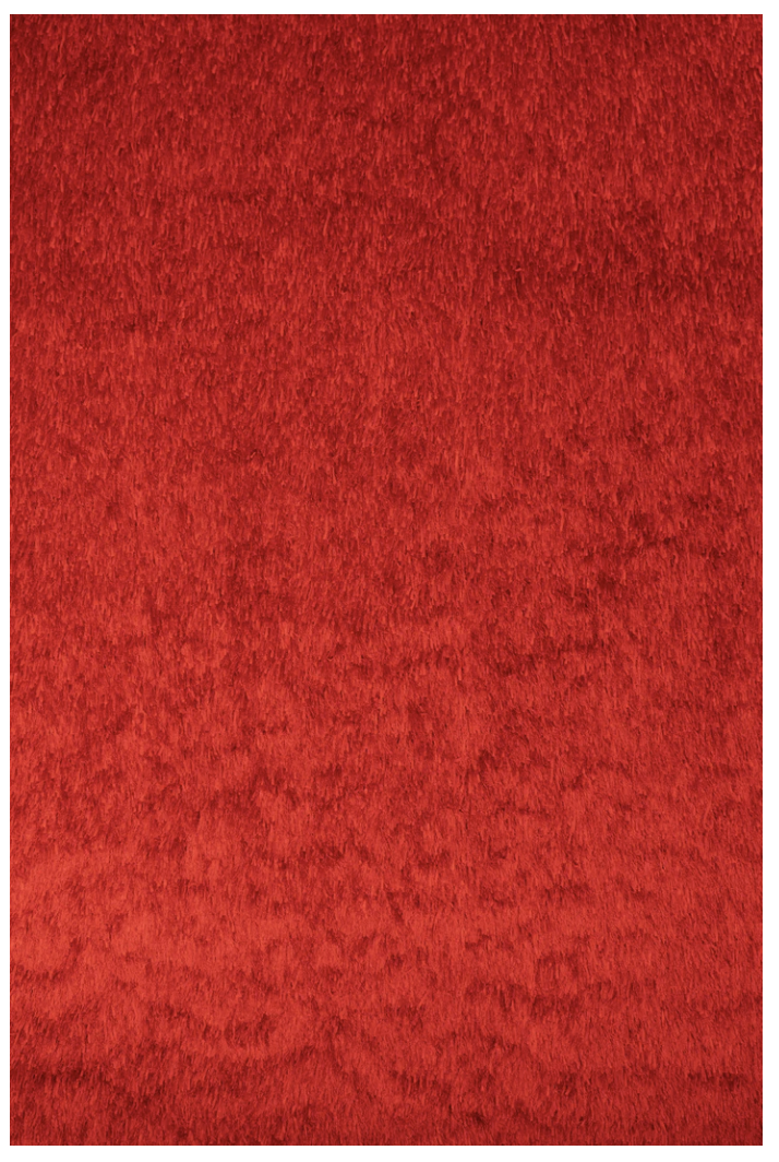 Ribbon Shag Area Rug 5x7
