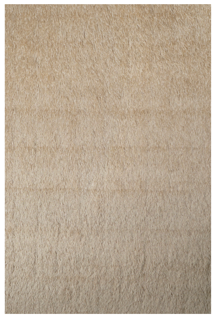 Ribbon Shag Area Rug 5x7