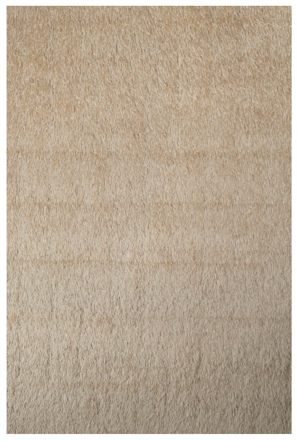 Ribbon Shag Area Rug 5x7