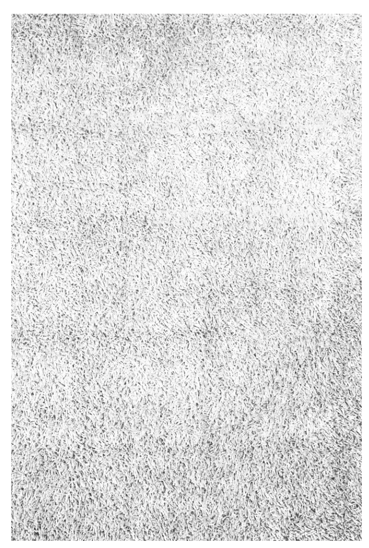 Spaghetti Shag Area Rug 5x7