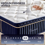 Queen Hybrid Mattress In Box Premium MemoryFoam Comfort
