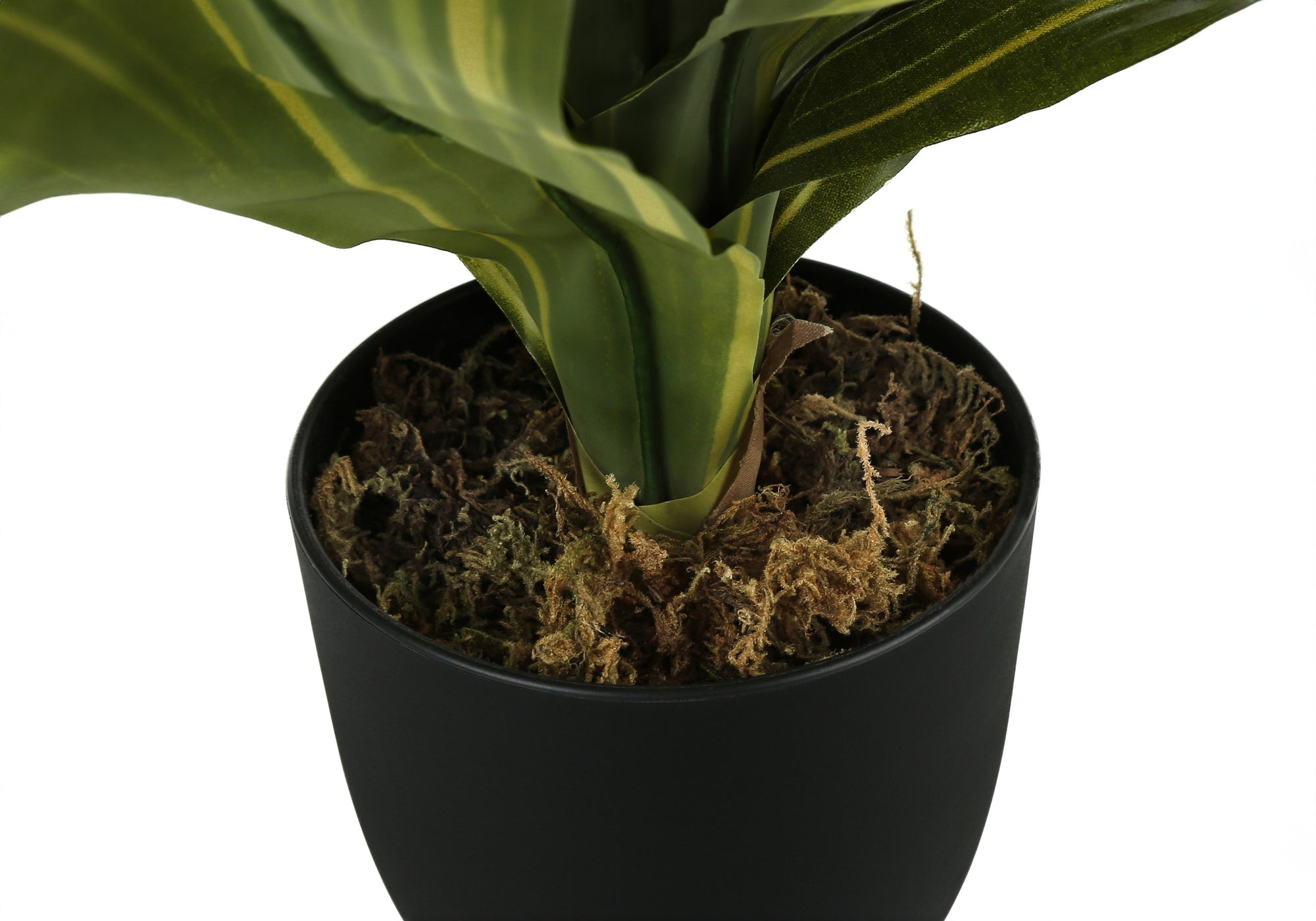 Artificial Dracaena Plant - 17