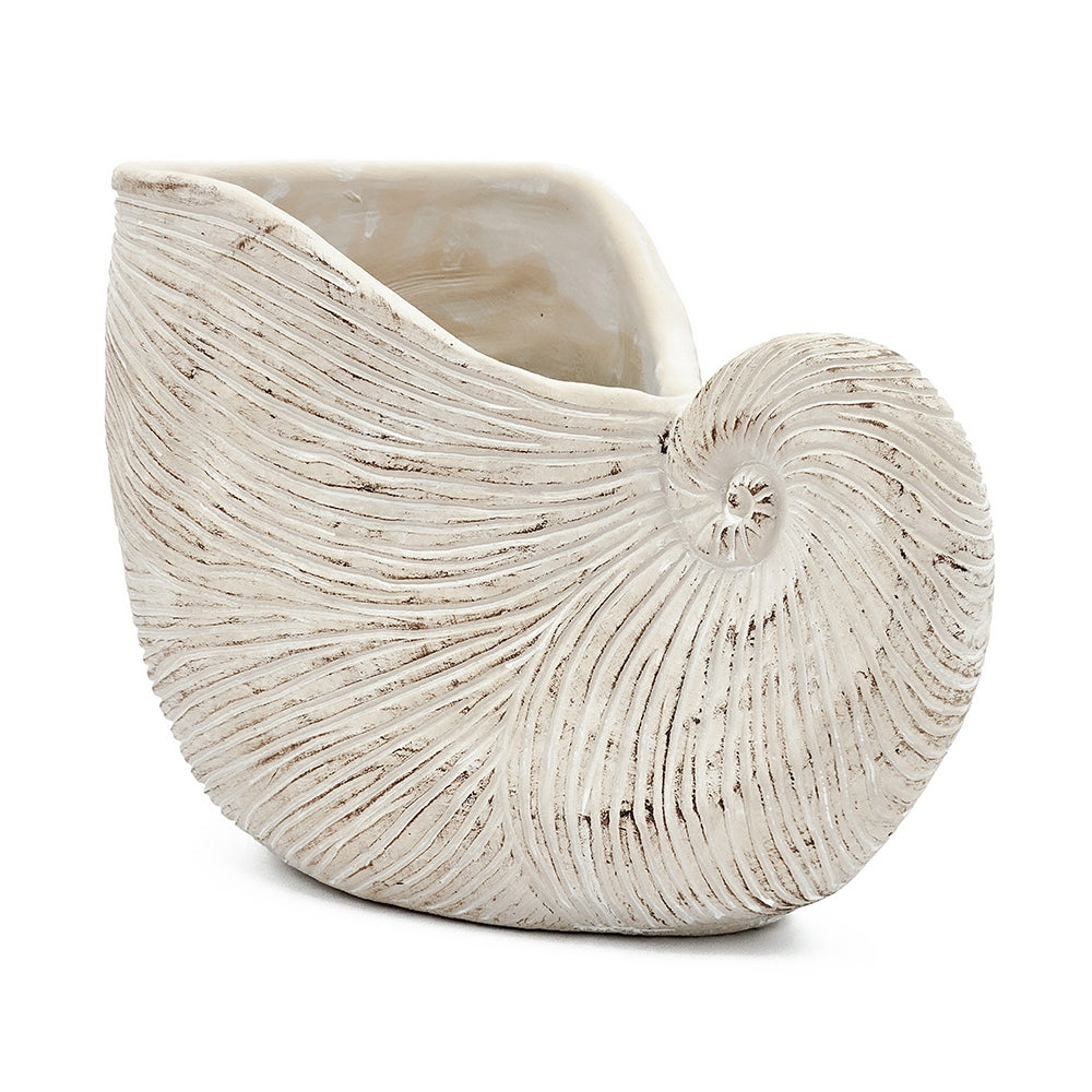 Nautilus Shell Decorative Planter