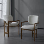 Dining Chairs Set of 2 Upholstered Arm Chairs