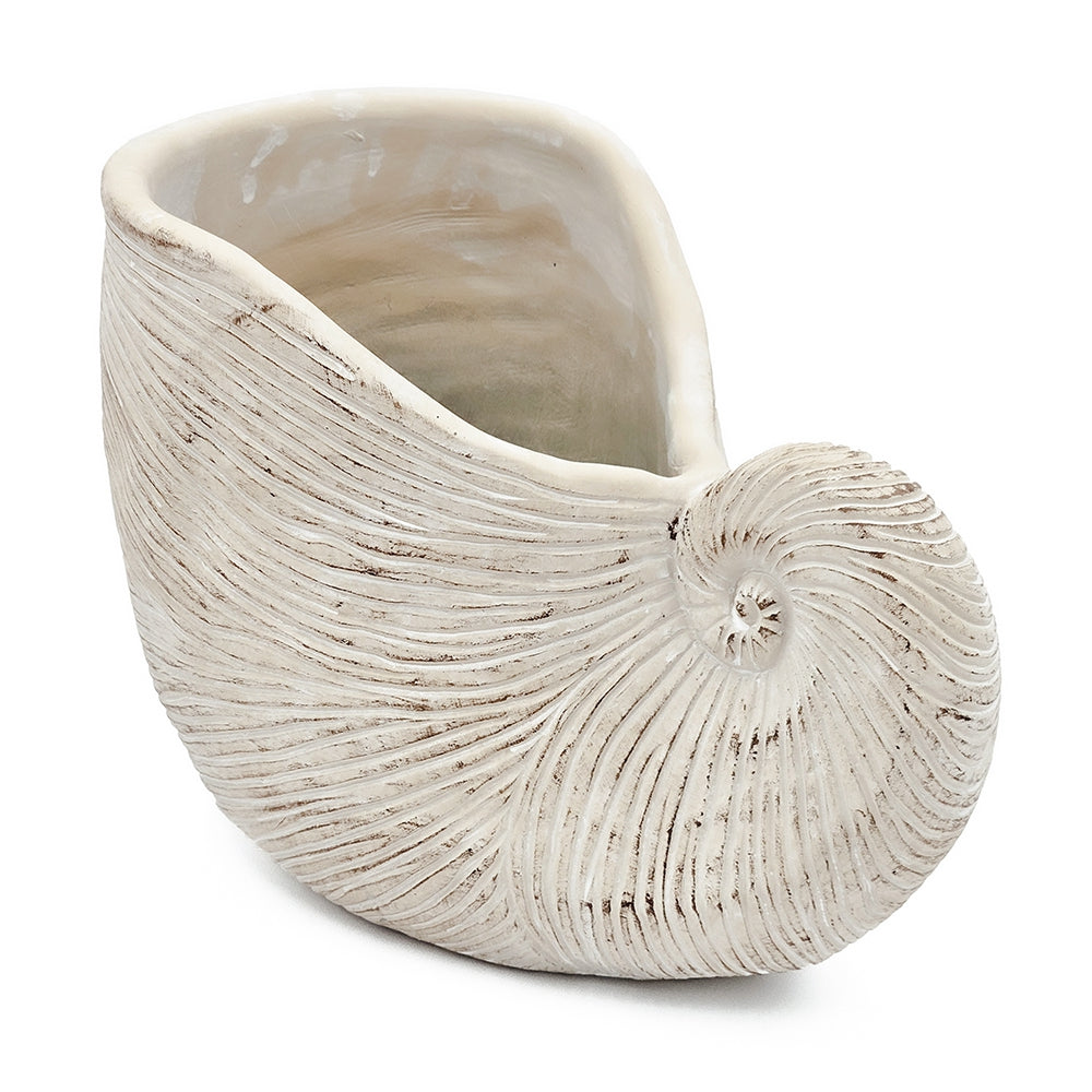 Nautilus Shell Decorative Planter