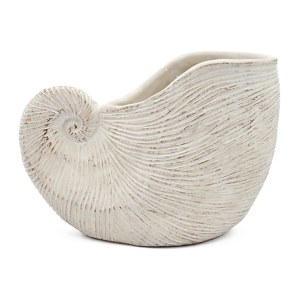 Nautilus Shell Decorative Planter