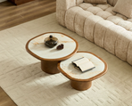 Irregular Coffee Table Set