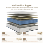 Pure Organic Latex Mattress | Firm