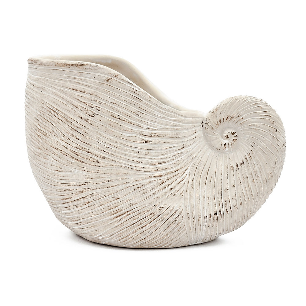 Nautilus Shell Decorative Planter