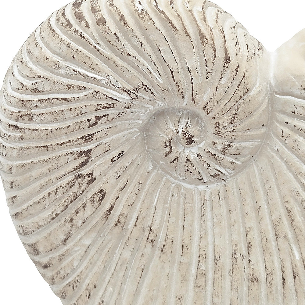 Nautilus Shell Decorative Planter